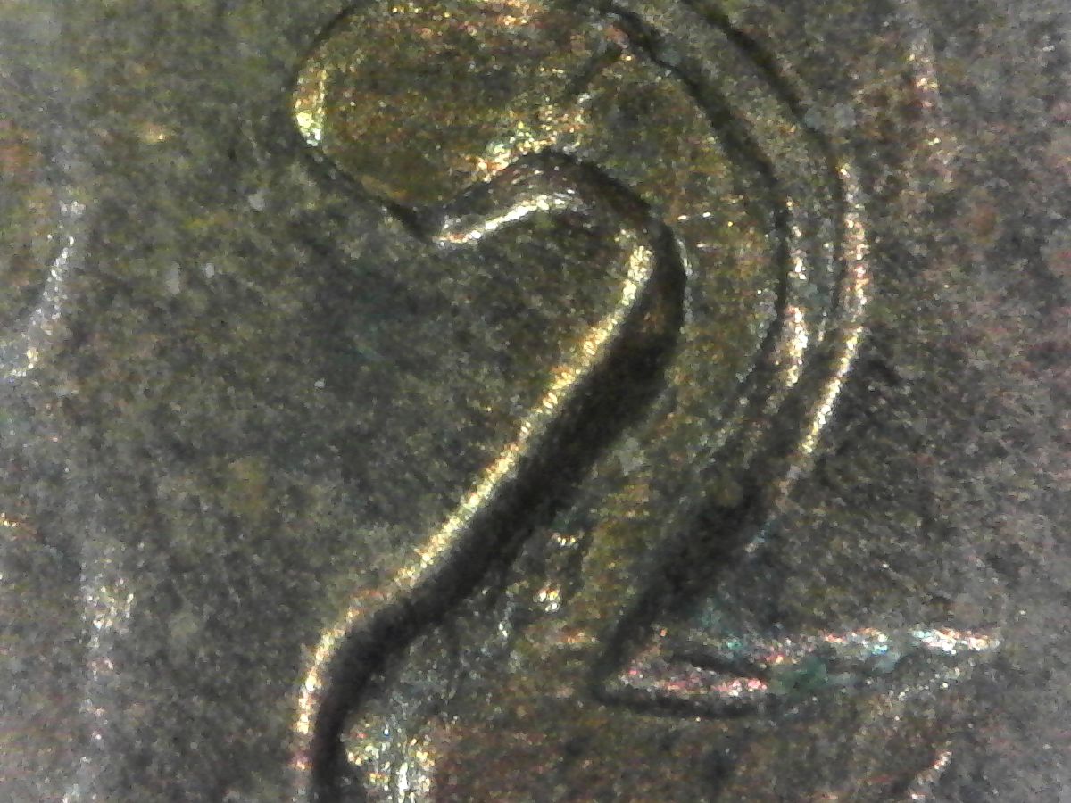 1982-D-Lg-Date-Broze,-MD?